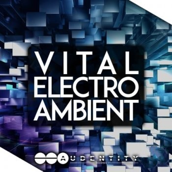 Audentity Records Vital Electro Ambient MULTiFORMAT-FANTASTiC