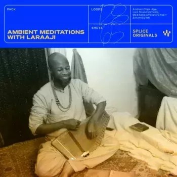Splice Originals Ambient Meditations with Laraaji WAV MiDi XFER RECORDS SERUM-FANTASTiC