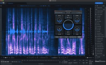 iZotope RX 10 Audio Editor Advanced v10.4.0-R2R